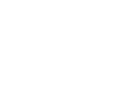 Hawker Style