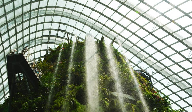 Waterfall inside Cloud Forest Singapore | Travel Inspiration | ANYDOKO