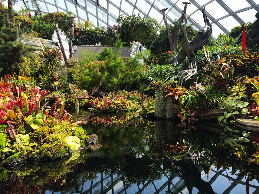 Cloud Forest Singapore Pond | Travel Inspiration | ANYDOKO